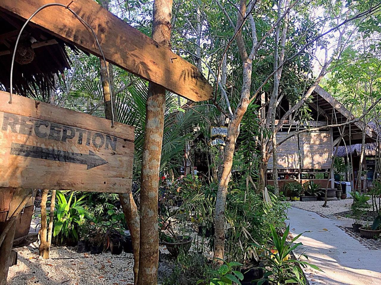 Auberge de jeunesse Bohol Coco Farm à Panglao Extérieur photo