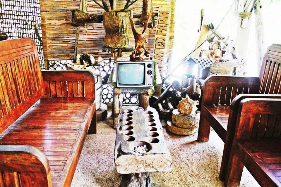 Auberge de jeunesse Bohol Coco Farm à Panglao Extérieur photo